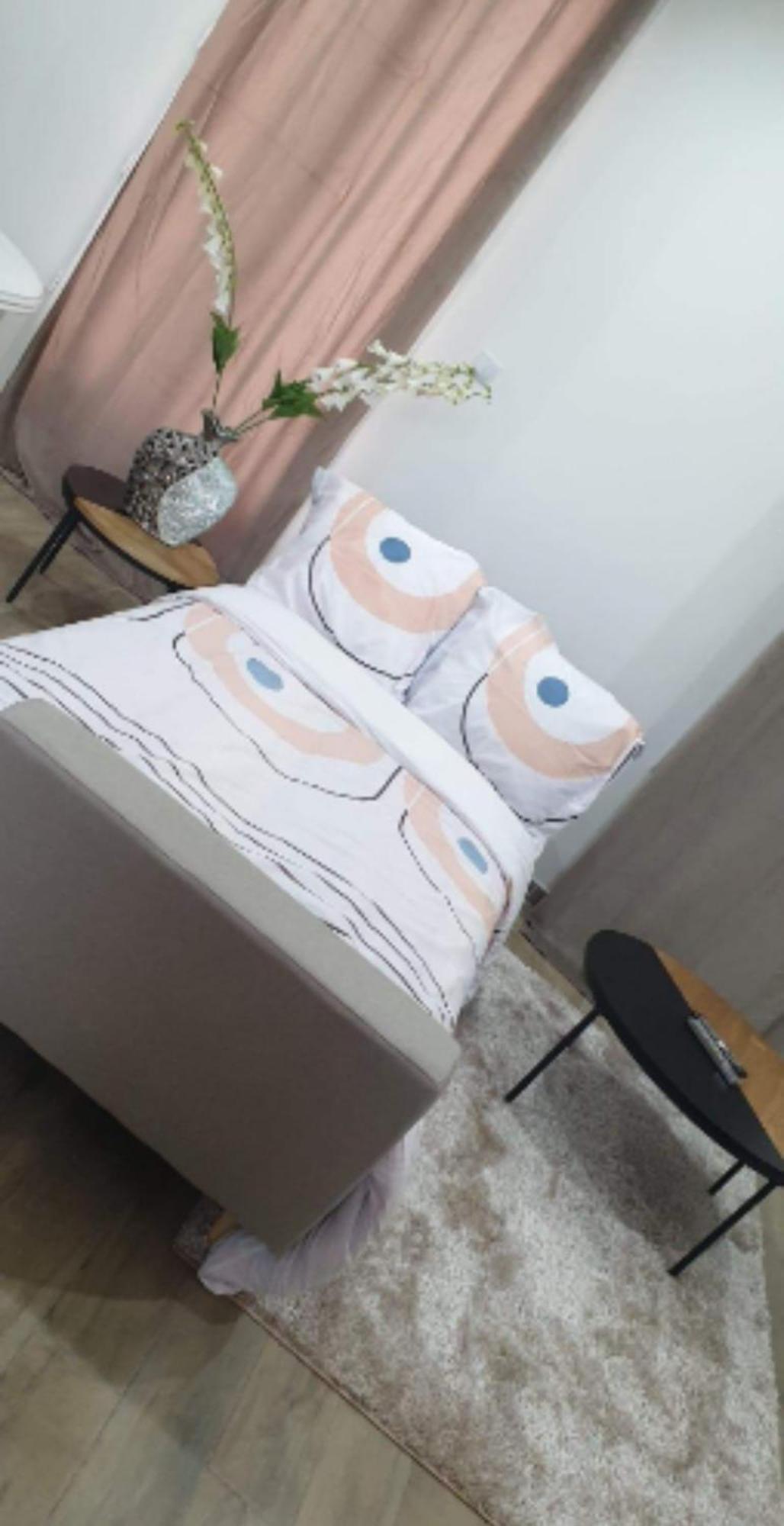 Les Suite Appartement A Chalon Sur Saone Bilik gambar
